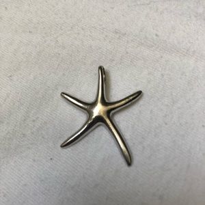 Sterling silver starfish